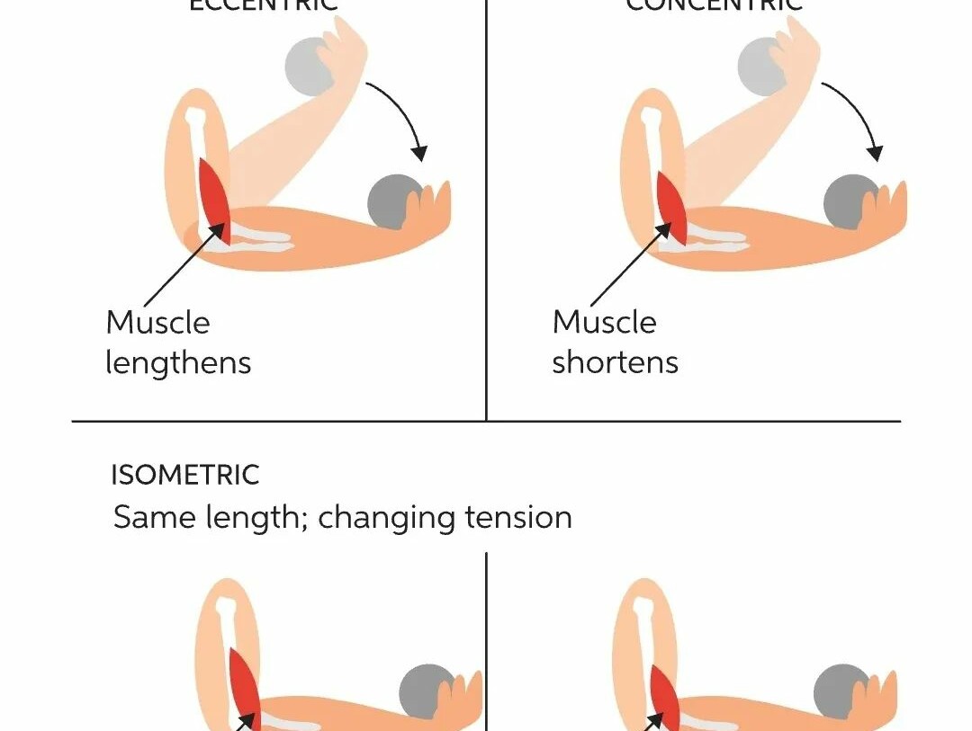 ISOMÉTRICOS