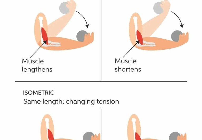 ISOMÉTRICOS