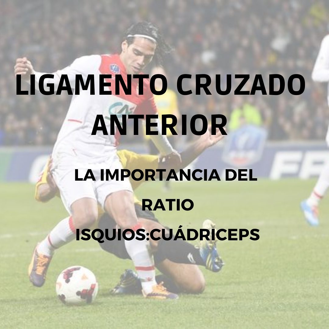Ligamento cruzado anterior, la importancia del ratio Isquios/Cuadriceps